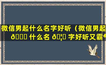 微信男起什么名字好听（微信男起 🍀 什么名 🦊 字好听又霸气）